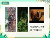 泸科物理八年级上册 第2章  第一节  声音的产生与传播 PPT课件