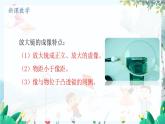 物理 教科版 八年級上冊 4.5.3 凸透鏡成像規(guī)律的應(yīng)用 PPT課件