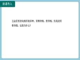 16.3 电阻(课件)2024-2025学年人教版九年级全一册物理