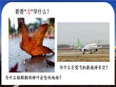 科学探索之旅-八年级物理上册同步精品课件（人教版2024）