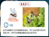 2.2 声音的特性-八年级物理上册同步精品课件（人教版2024）