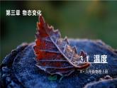 3.1 温度-八年级物理上册同步精品课件（人教版2024）