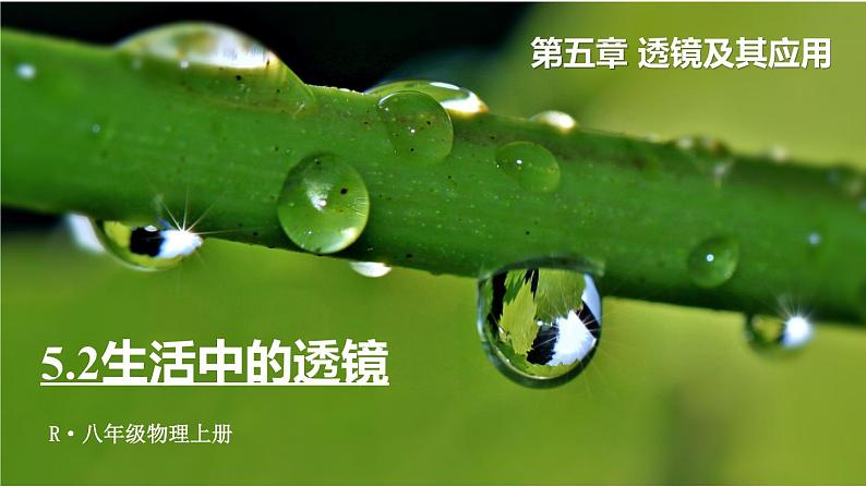 5.2 生活中的透镜-八年级物理上册同步精品课件（人教版2024）01