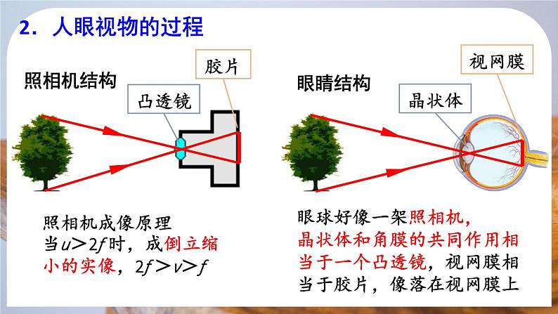 5.4 眼睛和眼镜-八年级物理上册同步精品课件（人教版2024）07