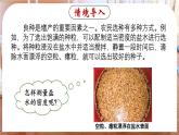 6.3 测量液体和固体的密度-八年级物理上册同步精品课件（人教版2024）