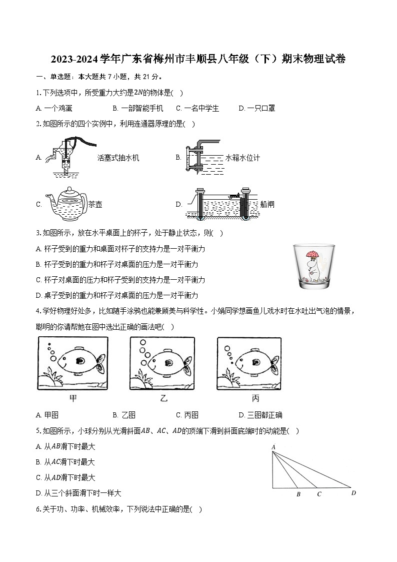 2023-2024学年广东省梅州市丰顺县八年级（下）期末物理试卷（含答案）第1页