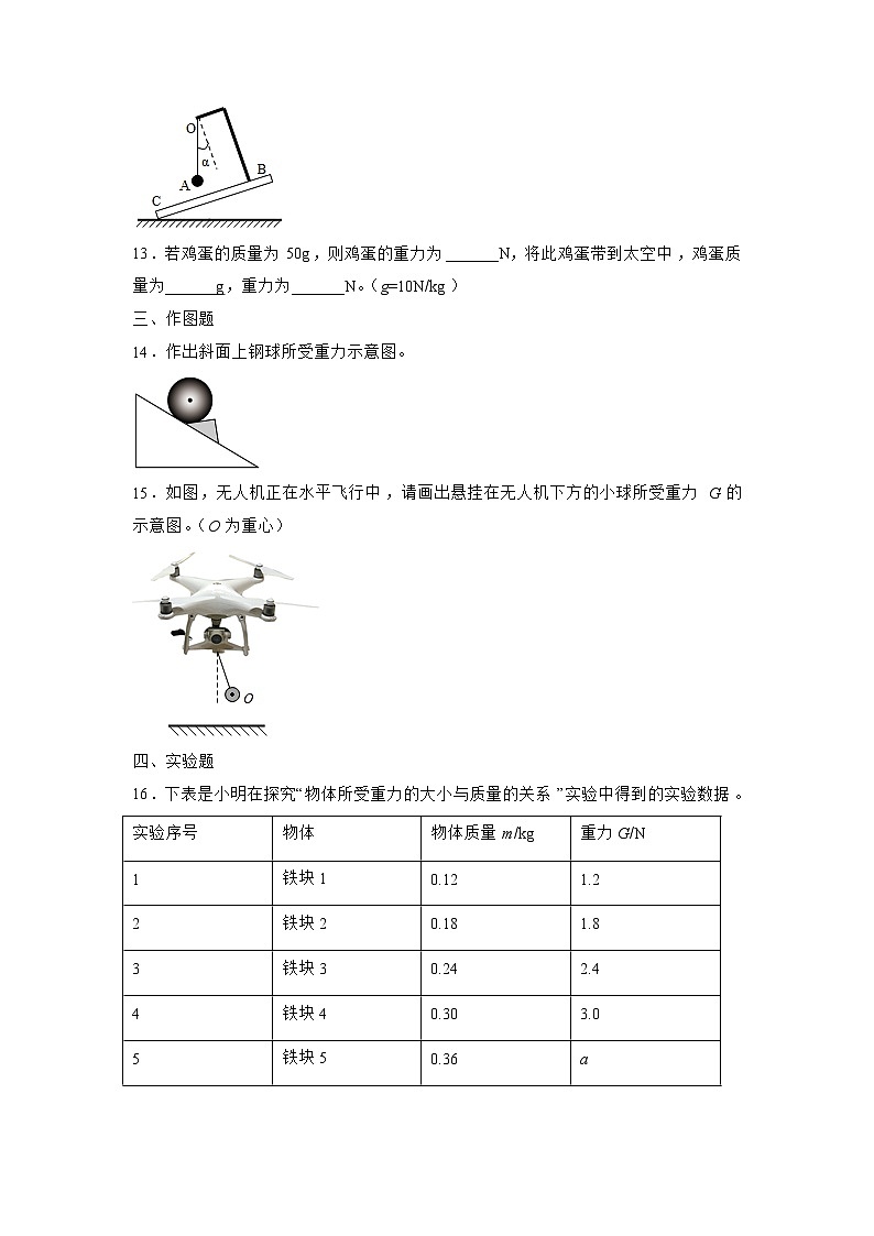 苏科版物理八年级下册 《8.2 重力 力的示意图》同步练习第3页