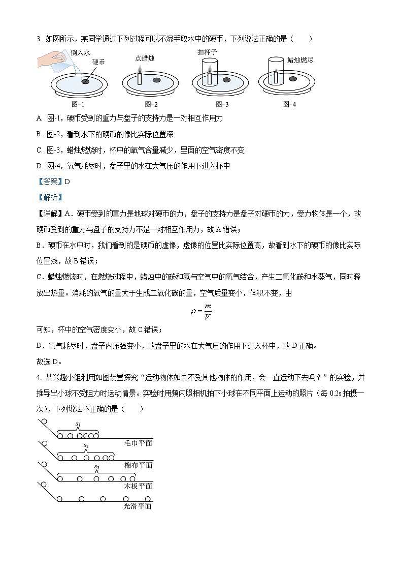 2024年山东省金乡县中考一模物理试题（原卷版+解析版）02