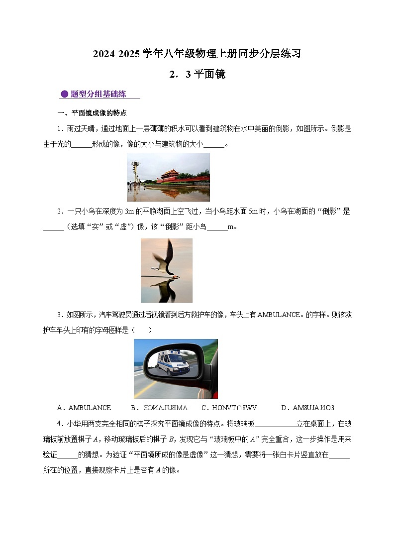 2.3平面镜-2024-2025学年八年级物理上册练习（苏科版）第1页