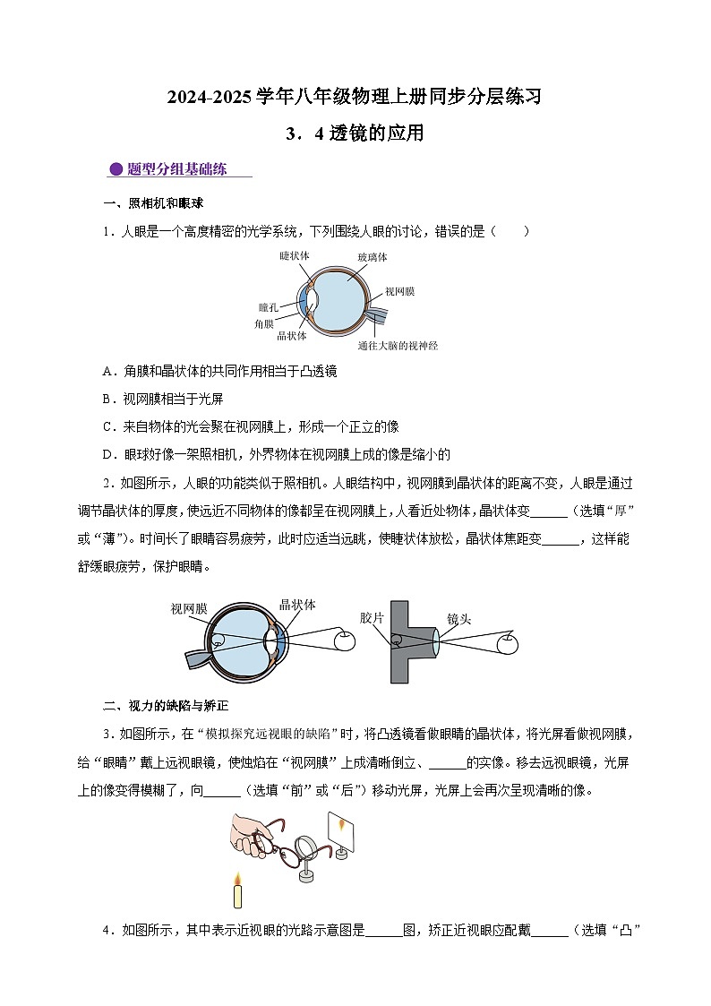 3.4透镜的应用-2024-2025学年八年级物理上册练习（苏科版）01