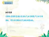 粵滬版物理九年級(jí)上冊(cè) 第12章 12.4 熱機(jī)與社會(huì)發(fā)展 PPT課件
