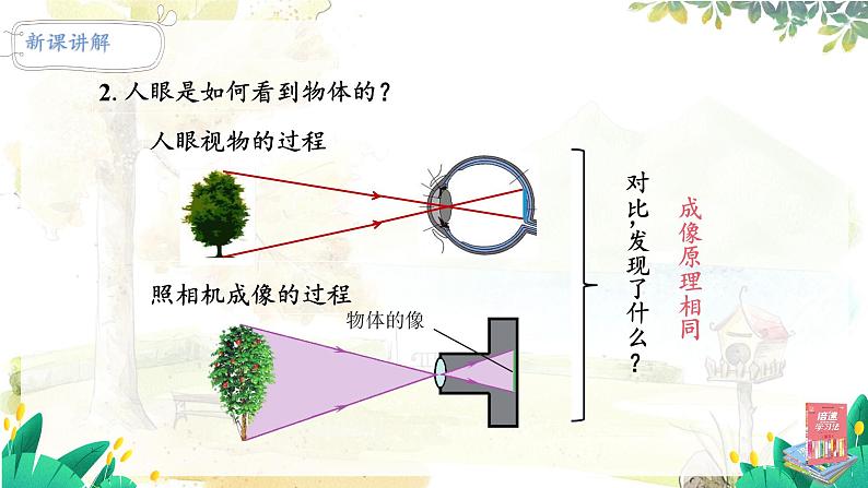 第4节 眼睛和眼镜第7页