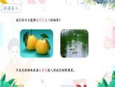 北师（2024）物理8年级上册 第4章 第2节 光的反射 PPT课件+教案+习题