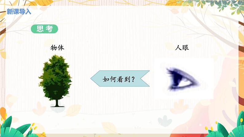 第4节  透镜的应用(课时1照相机与眼球 视力的矫正)第3页