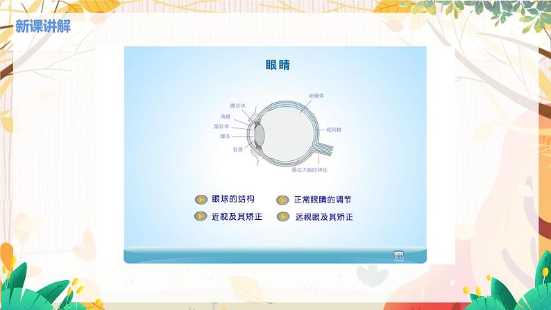 第4节  透镜的应用(课时1照相机与眼球 视力的矫正)第6页