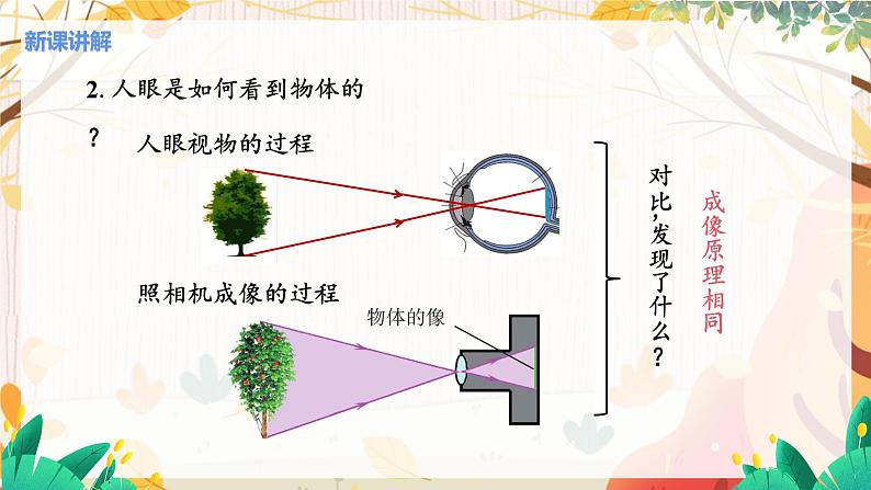 第4节  透镜的应用(课时1照相机与眼球 视力的矫正)第7页