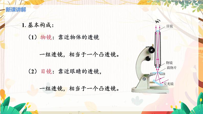 第4节  透镜的应用(课时2 望远镜与显微镜第7页