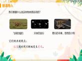 【教科2024版】八上物理 第2章 第1节 认识运动 PPT课件+教案+练习