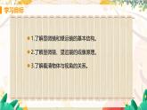 【教科2024版】八上物理 第4章 第7节 通过透镜看世界 PPT课件+教案+练习