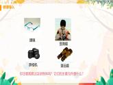 【粤沪2024版】八上物理 第3章 3.5 奇妙的透镜 PPT课件+教案+练习