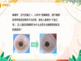 【粤沪2024版】八上物理 第3章 3.6 探究凸透镜成像规律 PPT课件+教案+练习