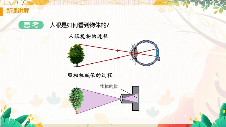 【粤沪2024版】八上物理 第3章 3.7 眼睛与光学仪器 PPT课件+教案+练习05