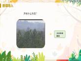 【人教2024版】八上物理 第2章 第3节   声的利用 PPT课件+教案+练习
