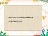 【人教2024版】八上物理 第5章 第3节   凸透镜成像的规律（课时2） PPT课件+教案+练习