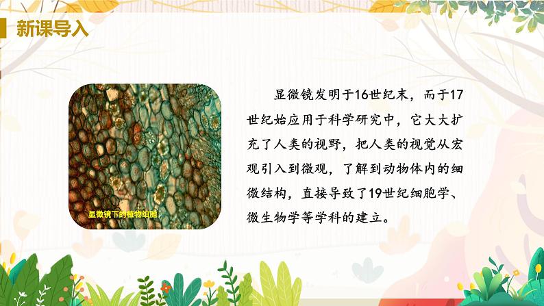 【人教2024版】八上物理 第5章 第5节   制作望远镜（显微镜和望远镜） PPT课件+教案+练习03