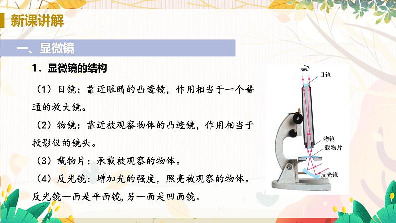 【人教2024版】八上物理 第5章 第5节   制作望远镜（显微镜和望远镜） PPT课件+教案+练习05