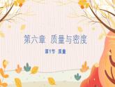 【人教2024版】八上物理 第6章 第1节   质量 PPT课件+教案+练习