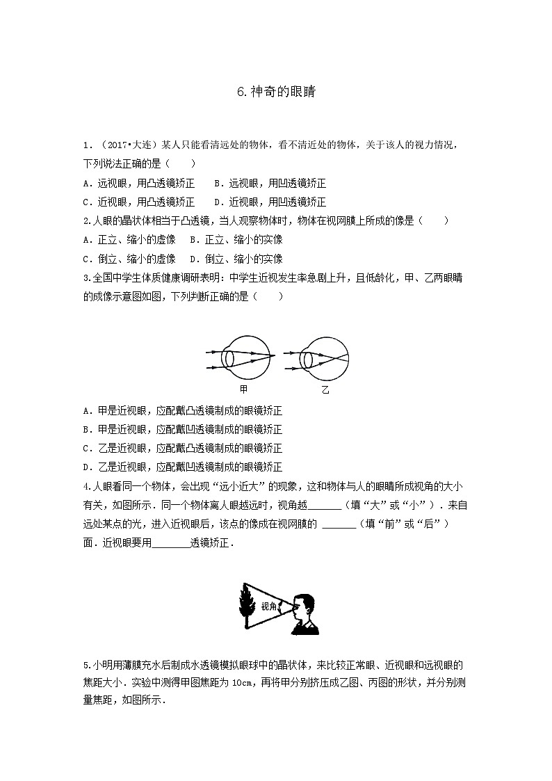 6.神奇的眼睛 习题第1页