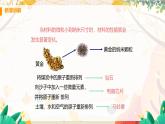 【粤沪2024版】八上物理 第5章 5.5  点击新材料 PPT课件+教案+练习