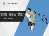 【沪科版】八年级物理  4.3 神奇的“眼睛”（课件+练习+内嵌视频）