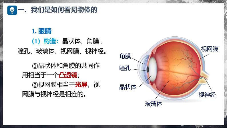 【沪科版】八年级物理  4.3 神奇的“眼睛”（课件+练习+内嵌视频）08