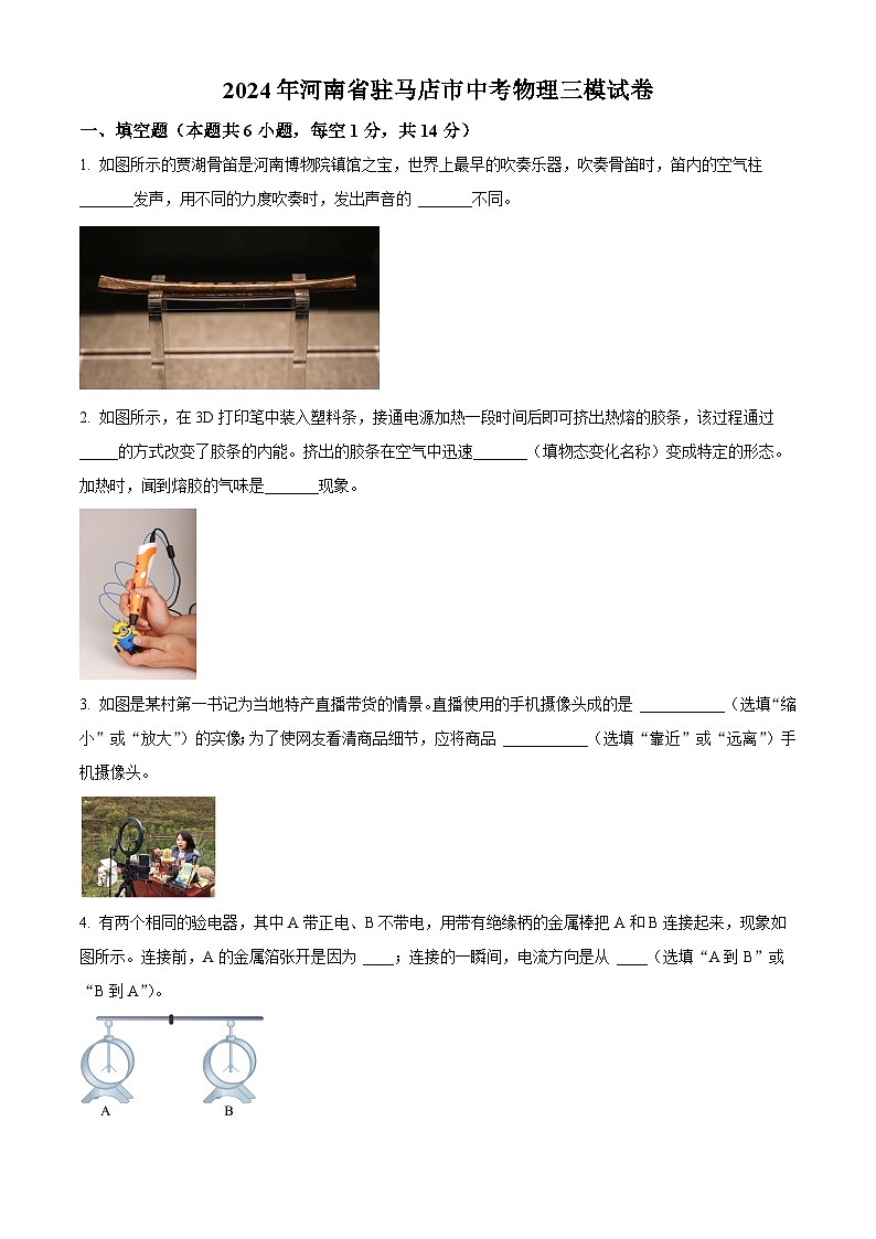 2024年河南省驻马店市中考三模物理试题（原卷版）第1页