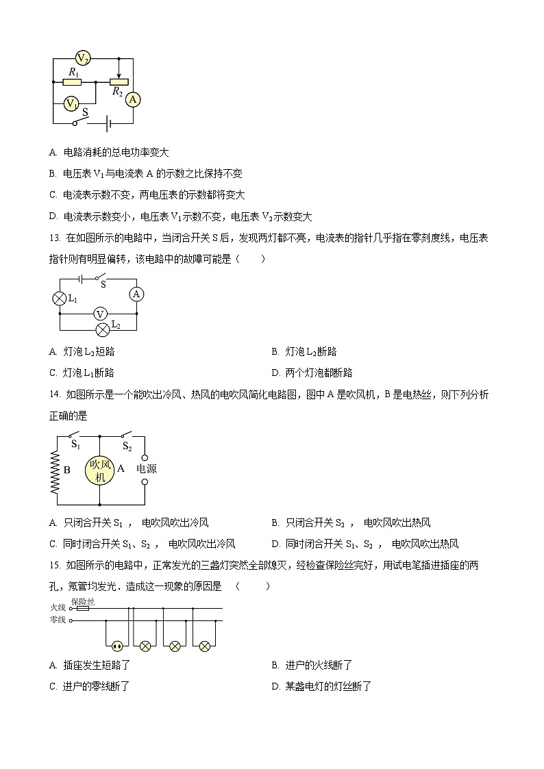 2024年安徽省阜阳市部分学校中考一模物理试题（原卷版）第3页