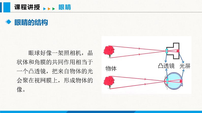 人教版（2024）八年级物理上册课件 5.4 眼睛和眼镜06