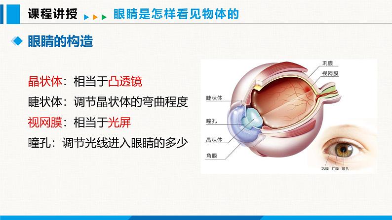 沪粤版（2024）八年级物理上册课件 3.7眼睛与光学仪器 第2课时03