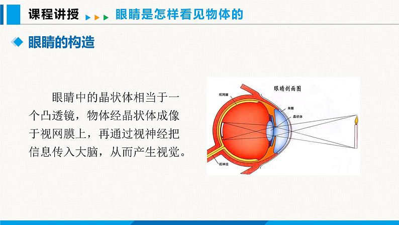 沪粤版（2024）八年级物理上册课件 3.7眼睛与光学仪器 第2课时04