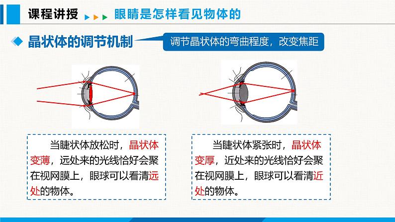 沪粤版（2024）八年级物理上册课件 3.7眼睛与光学仪器 第2课时06