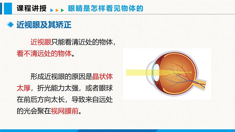 沪粤版（2024）八年级物理上册课件 3.7眼睛与光学仪器 第2课时07
