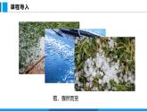 沪粤版（2024）八年级物理上册课件 4.5水循环与水资源