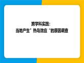 沪粤版（2024）八年级物理上册课件 第4章 跨学科实践：当地产生“热岛效应”的原因调查