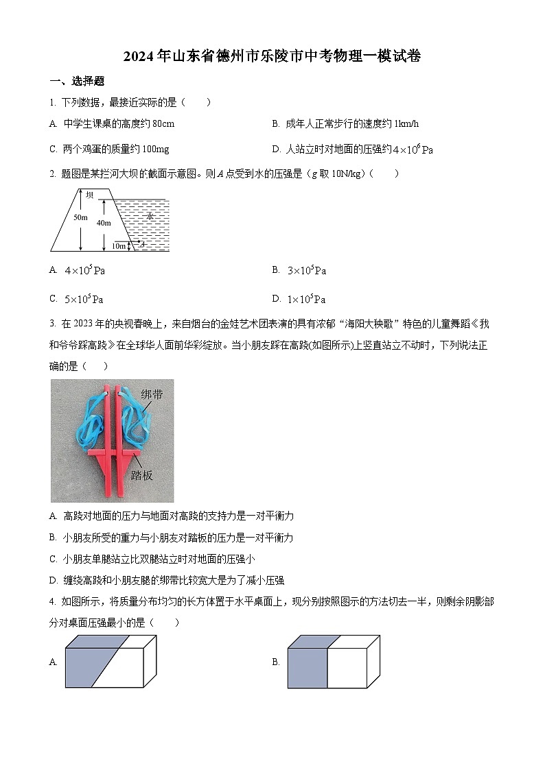 2024年山东省德州市乐陵市中考一模物理试题（原卷版+解析版）01