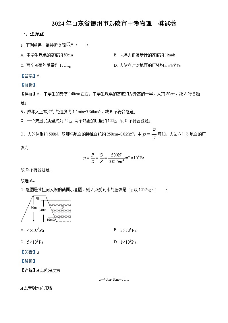 2024年山东省德州市乐陵市中考一模物理试题（原卷版+解析版）01