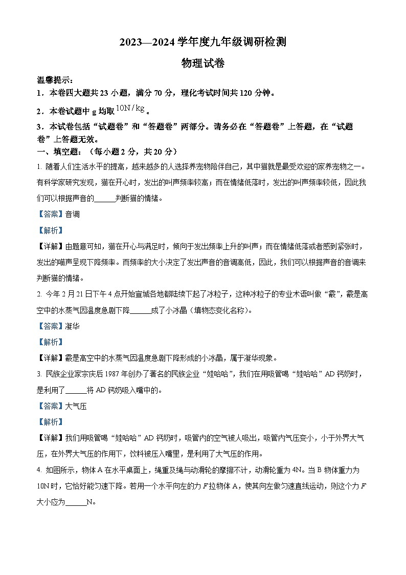 2024年安徽省宣城市中考一模物理试题（解析版）01