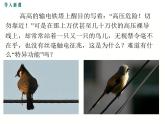 2024-2025学年教科版九年级上册物理教学课件 5.1欧姆定律