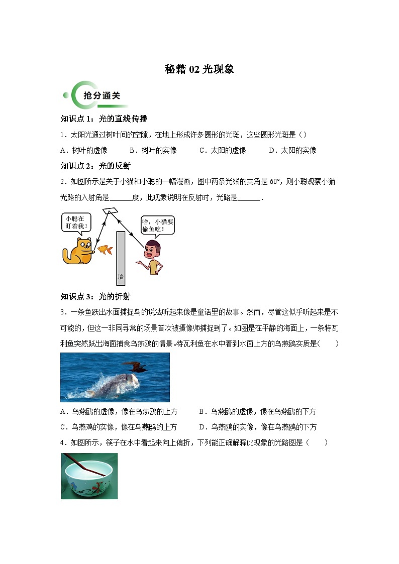 备战2025年中考物理试题抢分秘籍（全国通用）通关08光现象含解析答案第1页