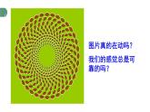 1.2 测量：实验探究的基础 课件 -2024-2025学年八年级物理教科版（2024）上册